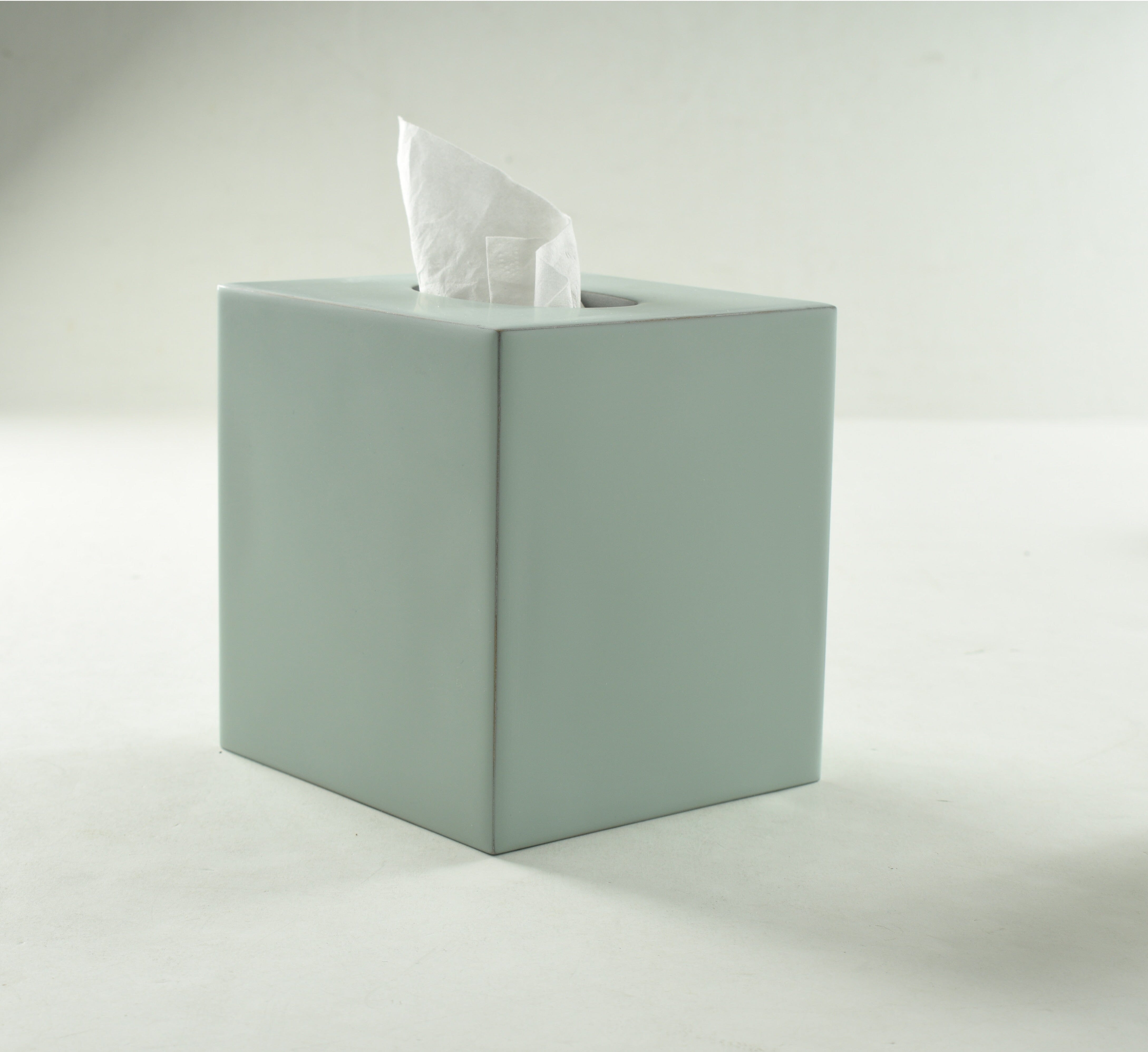 Mike and Ally Honed tissue box