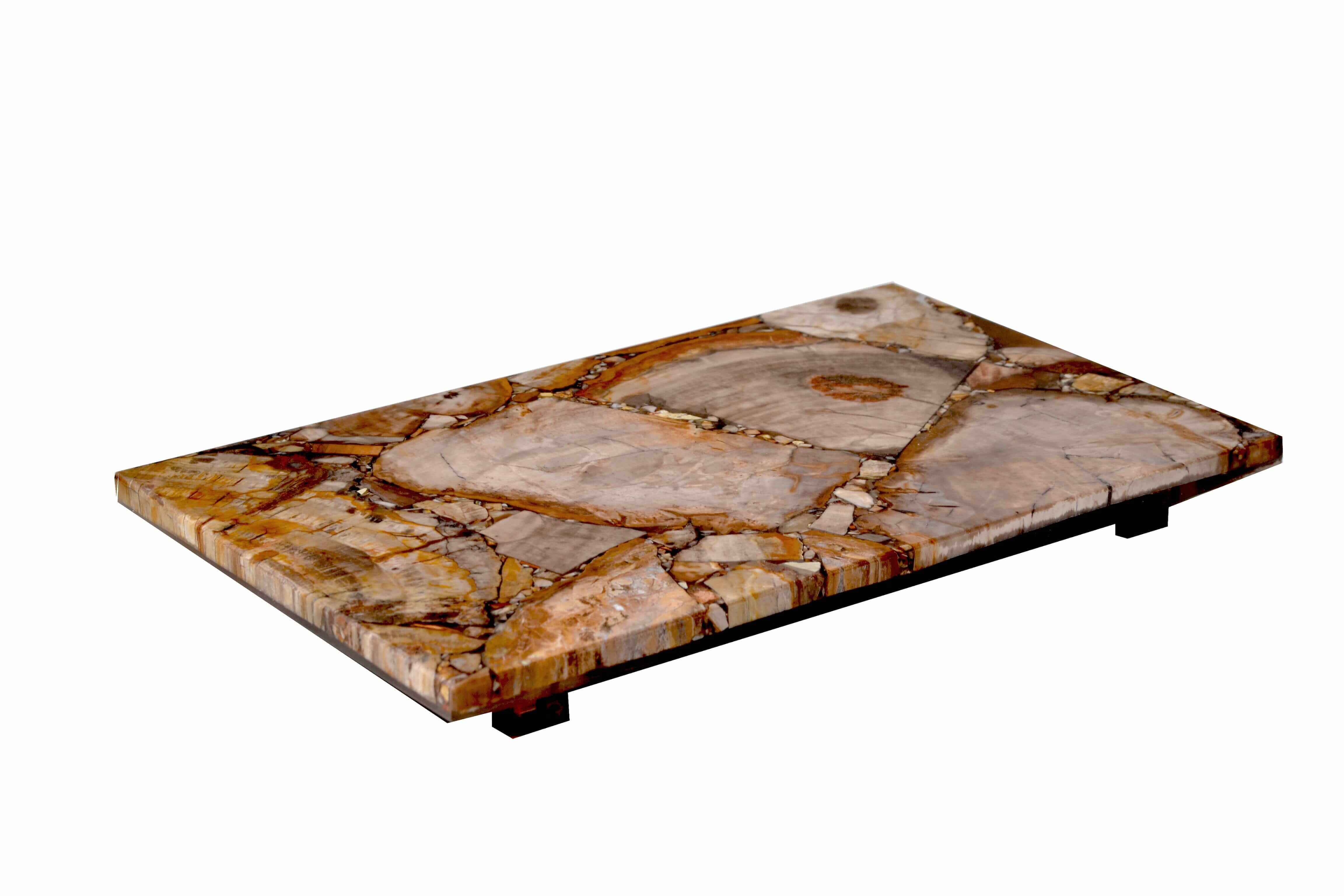 TAJ PETRIFIED WOOD Small Tray with Feet