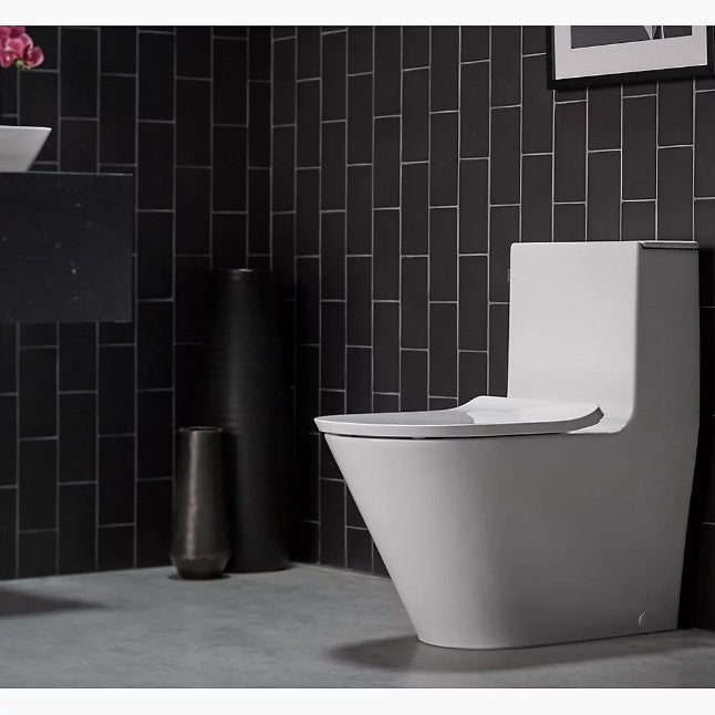 Kohler Brazn Toilet. Sleek and space saving.